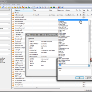 Edit mp3 files ID3 tags: screenshot 9