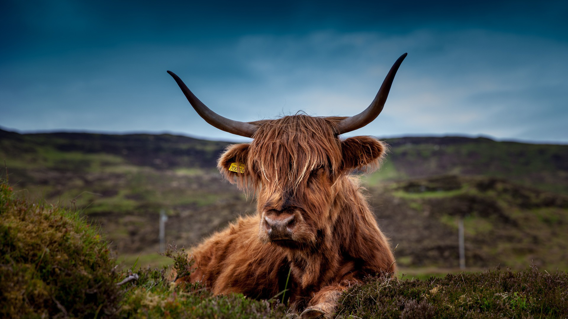 Hip hop beef then and now Zanderjaz