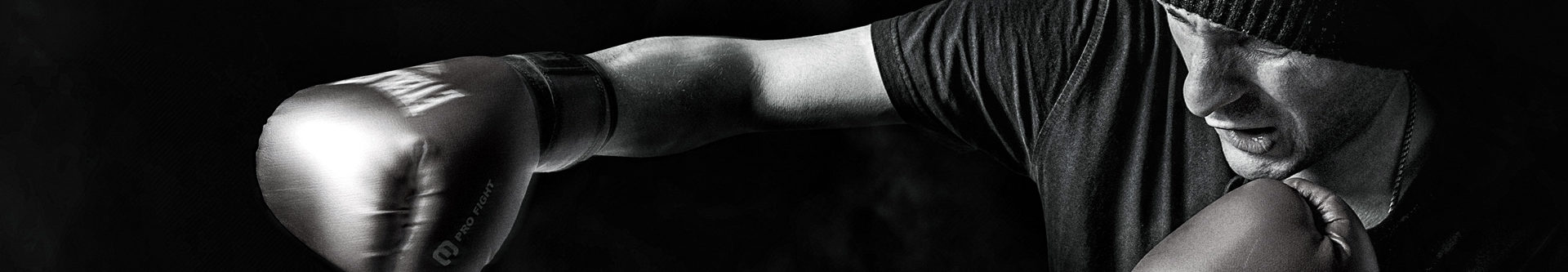 chris brown soulja boy boxing match